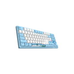 Dareu A87 Swallow Tenkeyless Mechanical Keyboard