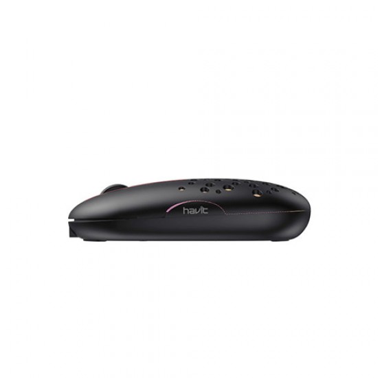 Havit HV-MS64GT Wireless Mouse
