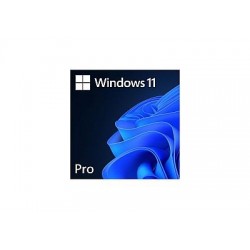 Microsoft Windows 11 professional 64 Bit ENG Intl 1PK DSP OEI DVD (PC OS)