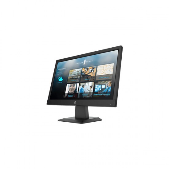 HP P19b G4 18.5 inch Monitor