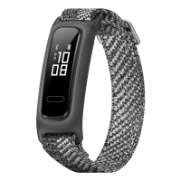  Huawei Band 4e